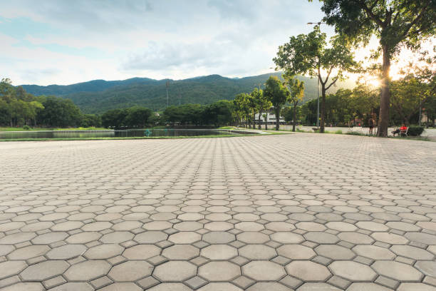 Best Permeable Paver Driveway  in Coats, NC